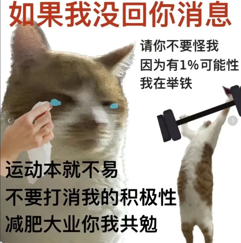 bf7e1bb201f8cf29718b5a5d40e11b8.jpg